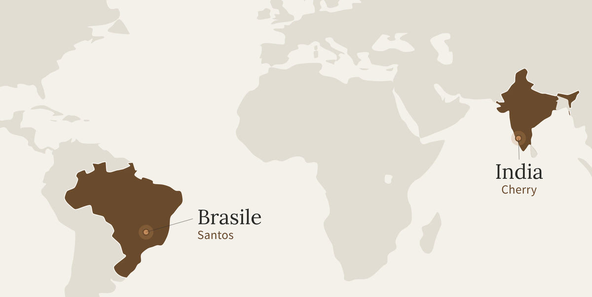 Mappa delle origini del Decaffeinato: Brasile e India