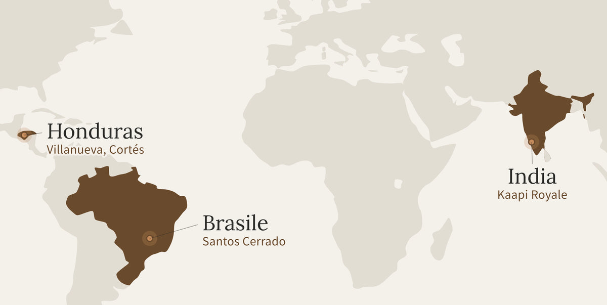 Mappa delle origini della miscela Oro: Brasile, Honduras e India